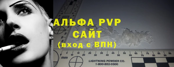 ешки Белокуриха