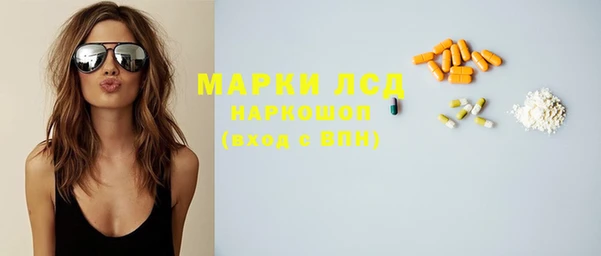 spice Богородск