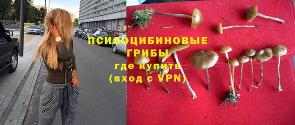 ешки Белокуриха
