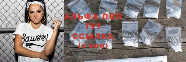 ешки Белокуриха