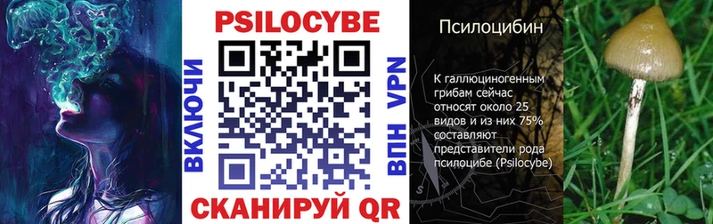 Псилоцибиновые грибы Psilocybe  Нарьян-Мар 